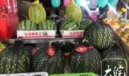 今日吃瓜 网红大瓜等你来开,网红大瓜等你来揭晓